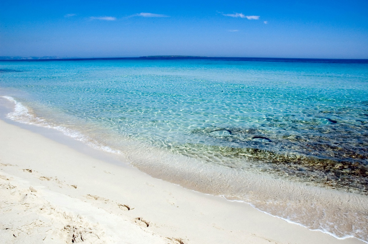 FORMENTERA LEVANTE 1E, JORGE JIMENEZ