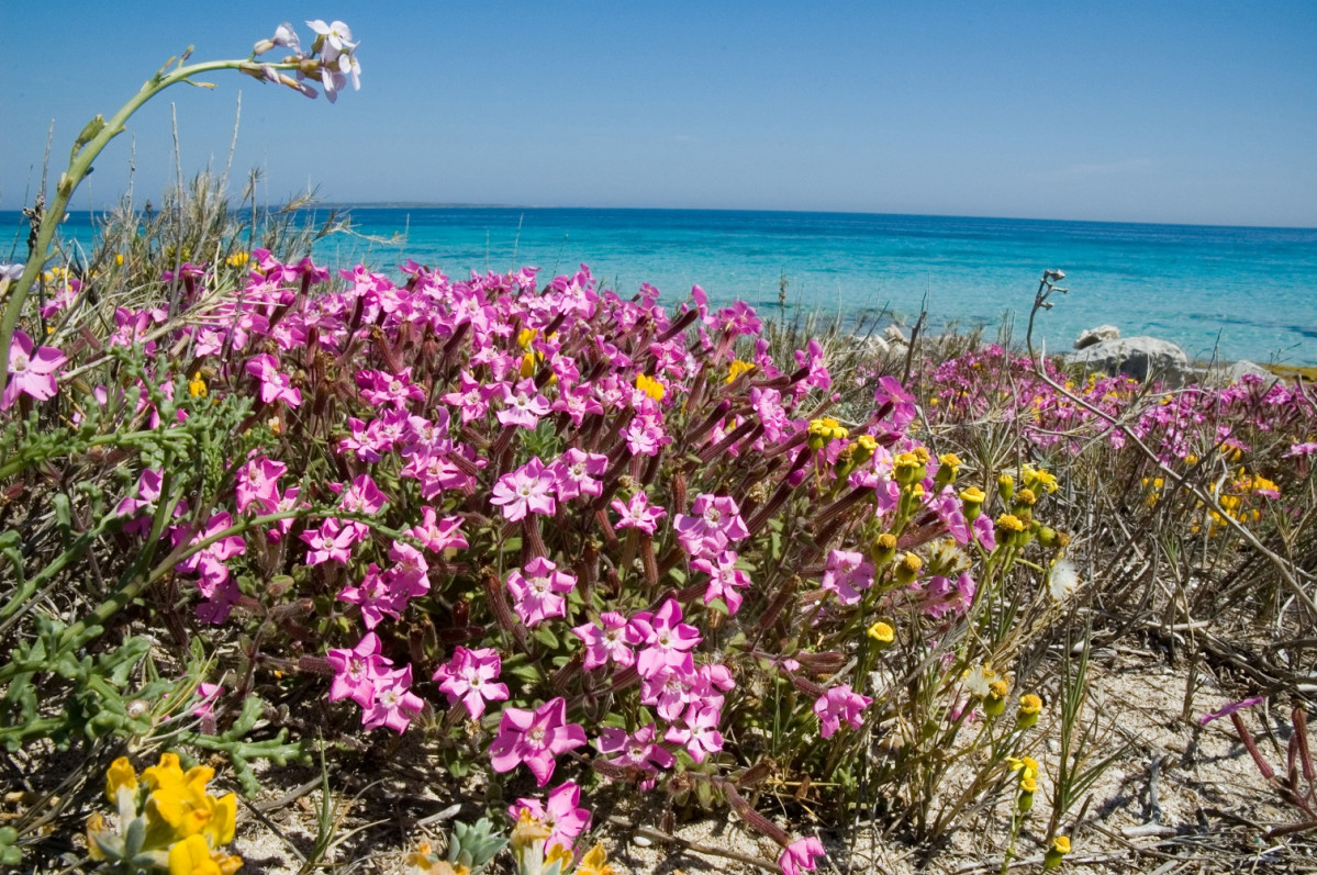 FORMENTERA LEVANTE 3E, JORGE JIMENEZ