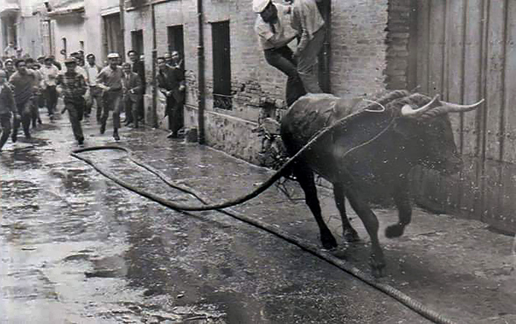 06 Toro Enmaromado en la Calle Matadero