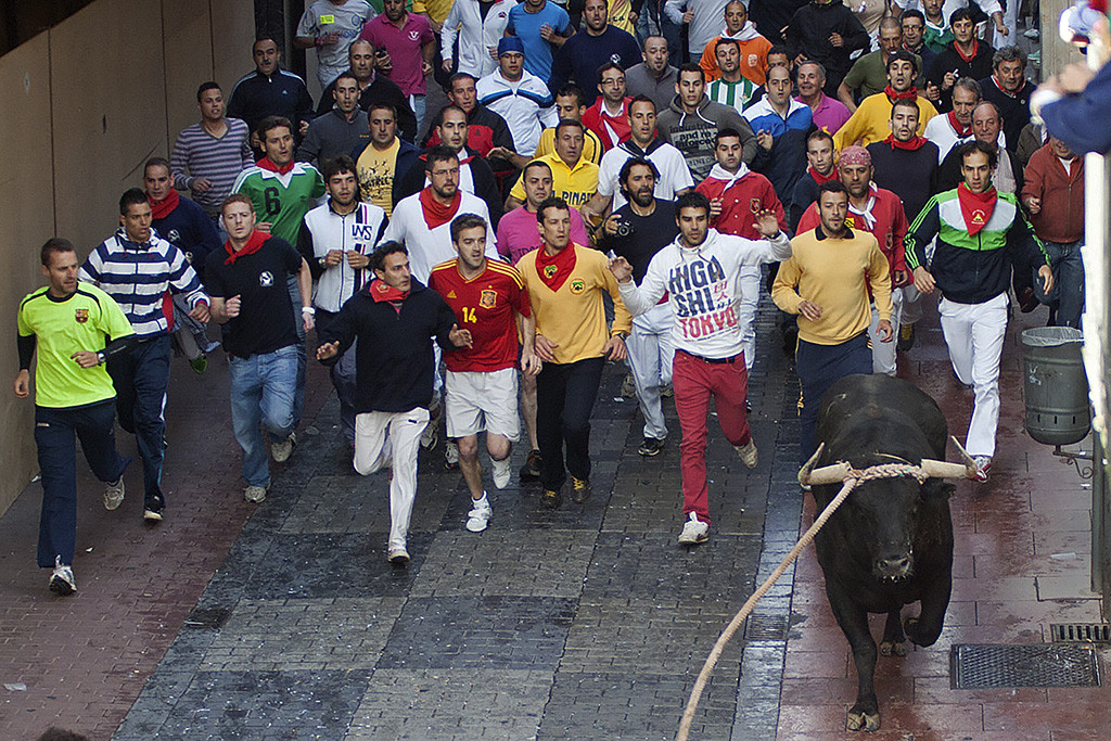 12 Toro Enmaromado
