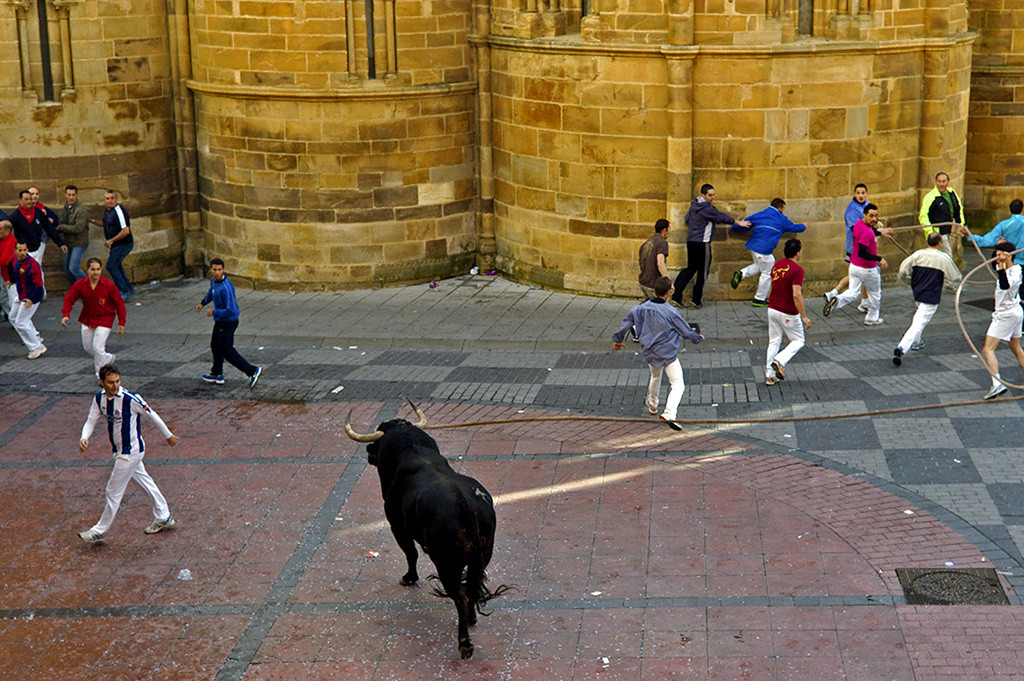 13 Toro Enmaromado