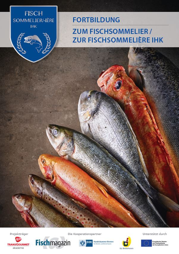 Cartel del curso