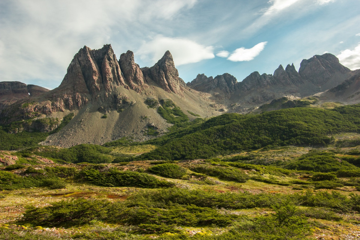 Isla Navarino  MG 9327
