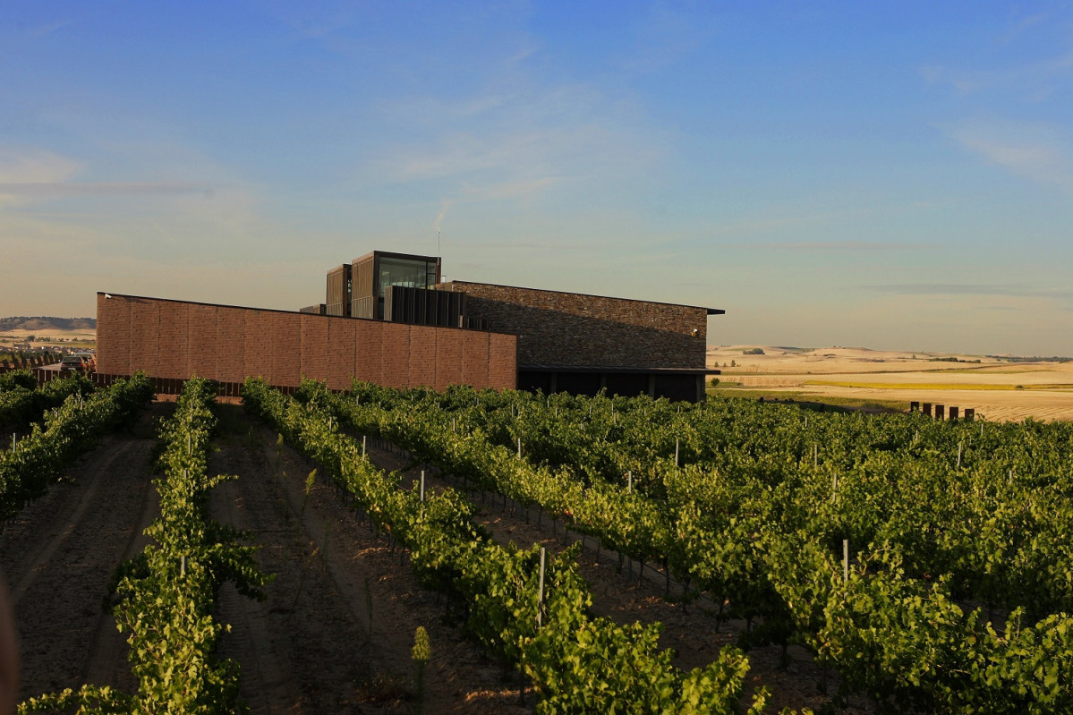 Burgos Arlanza, la nueva DOP burgalesa que cuenta con su propia Ruta del Vino