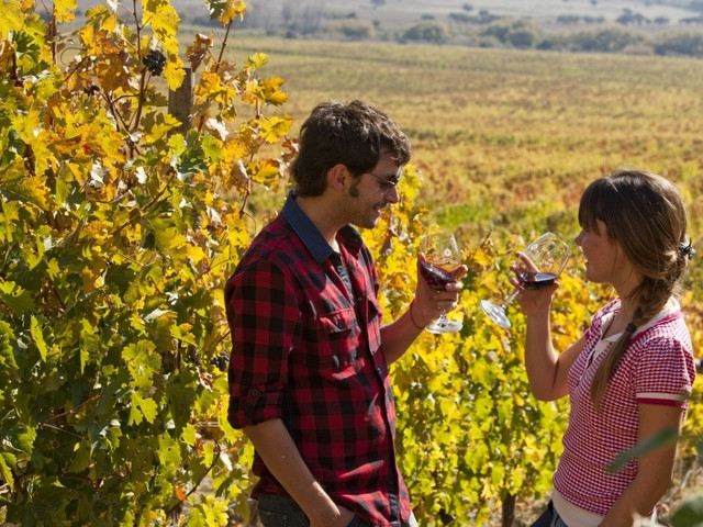 Enoturismo. PAREJA 1