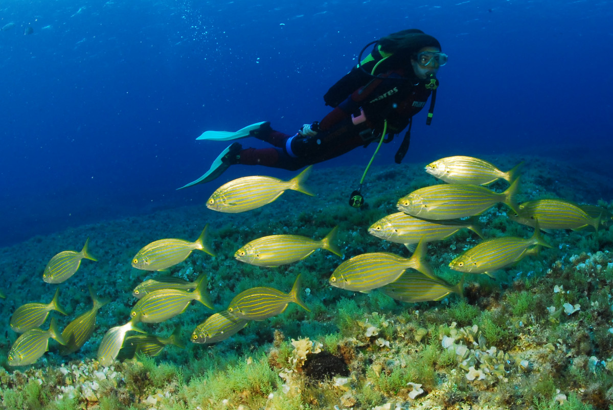 Submarisnimo  Formentera Pedro De Ureta