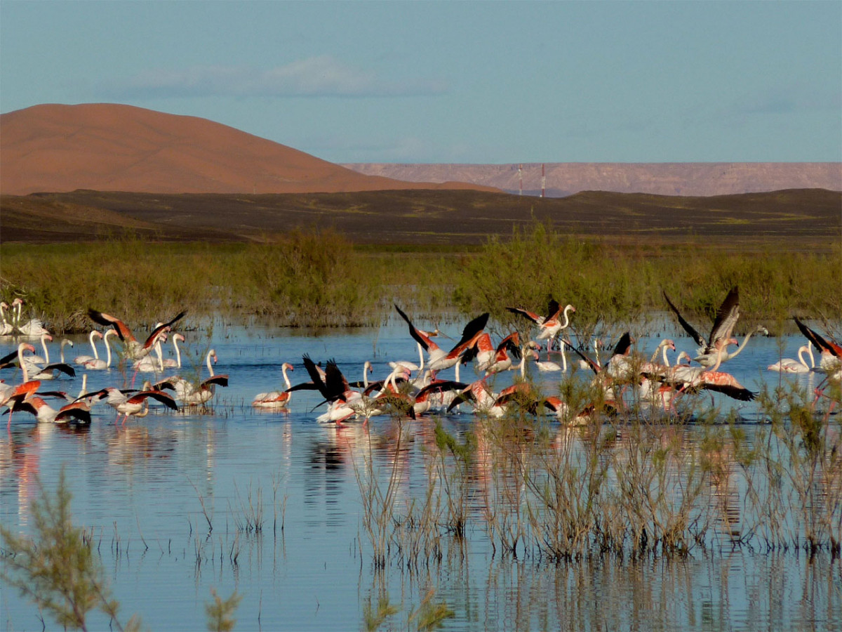 Marruecos Lac dayet drij