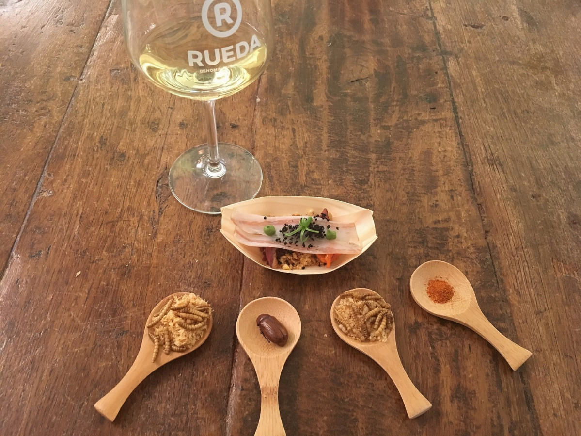 Rueda Cata con insectos