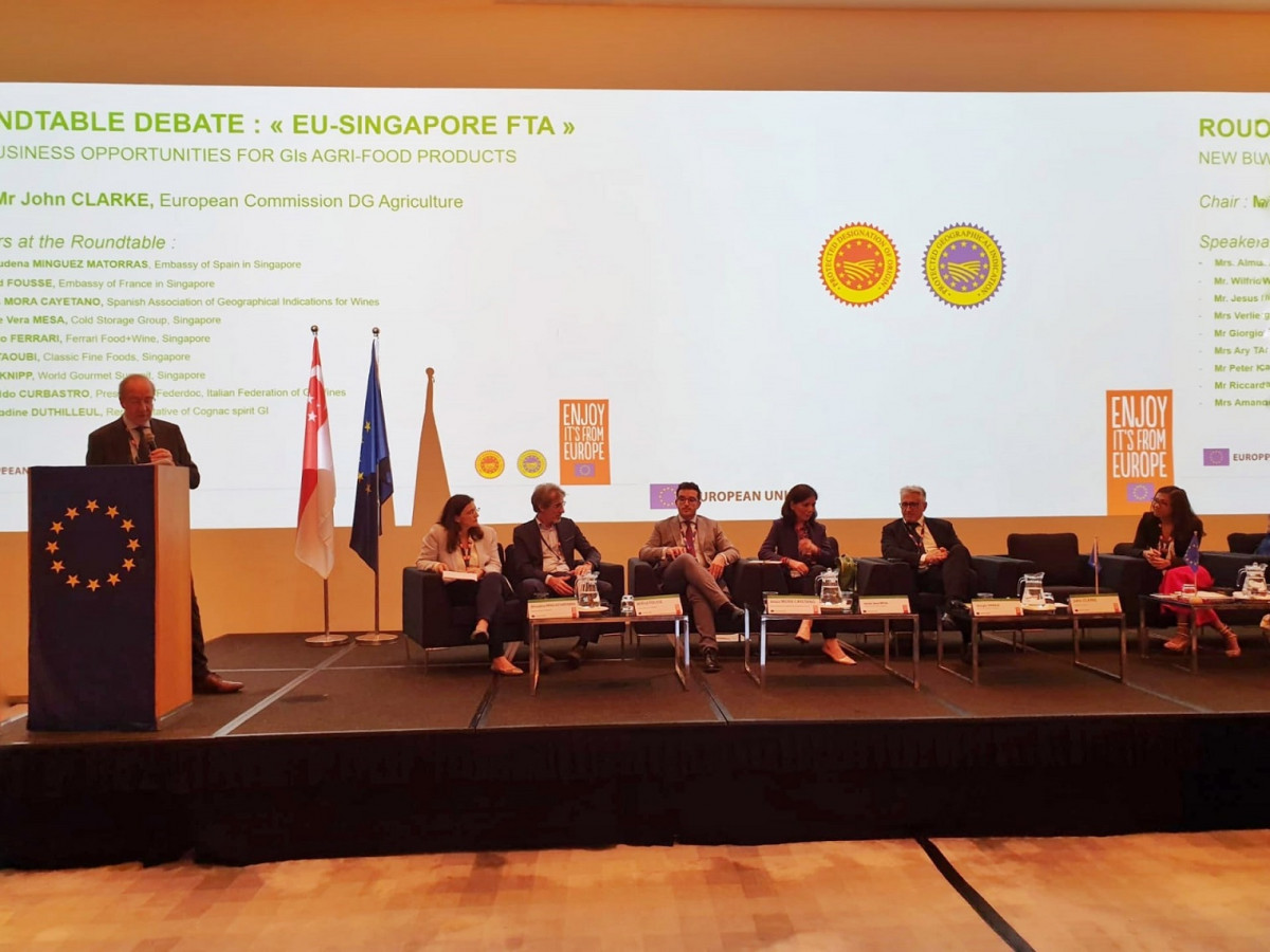Mesa redonda en el Seminario de Alto Nivel en Singapur 1520