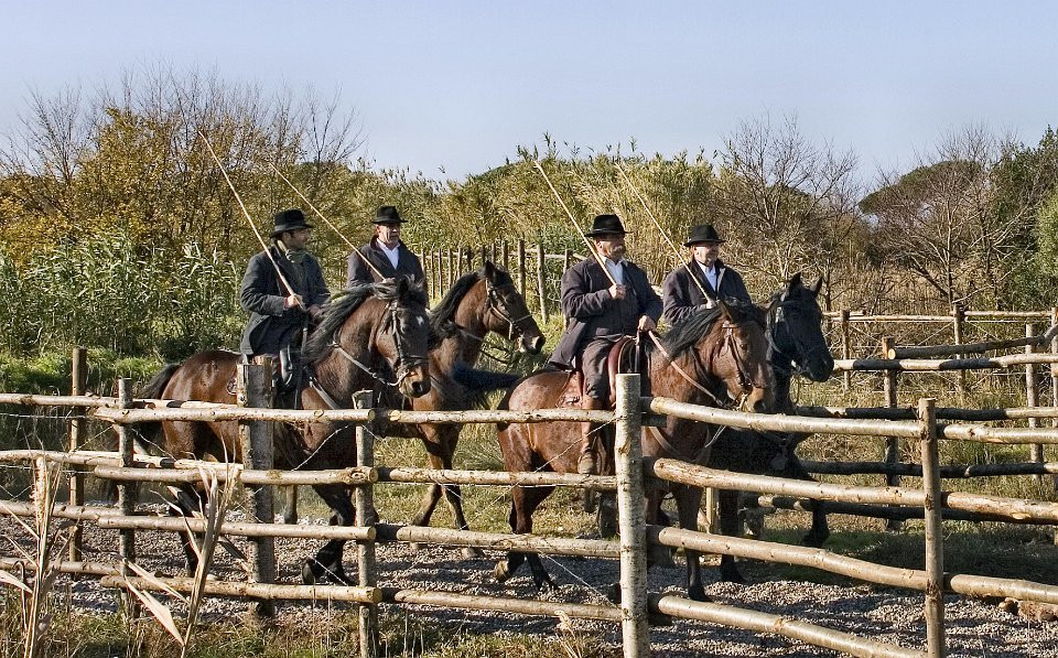 LAVORO 49b