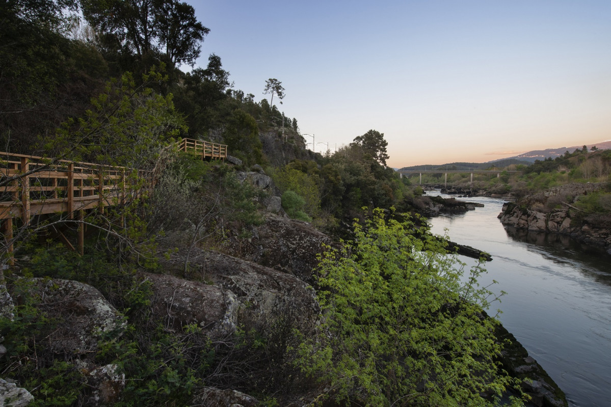Arbo IMG 9428
