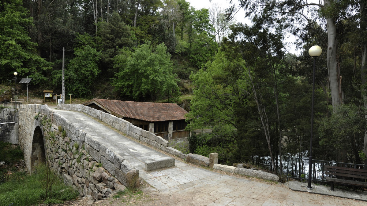 Arbo IMG 9911 (1)