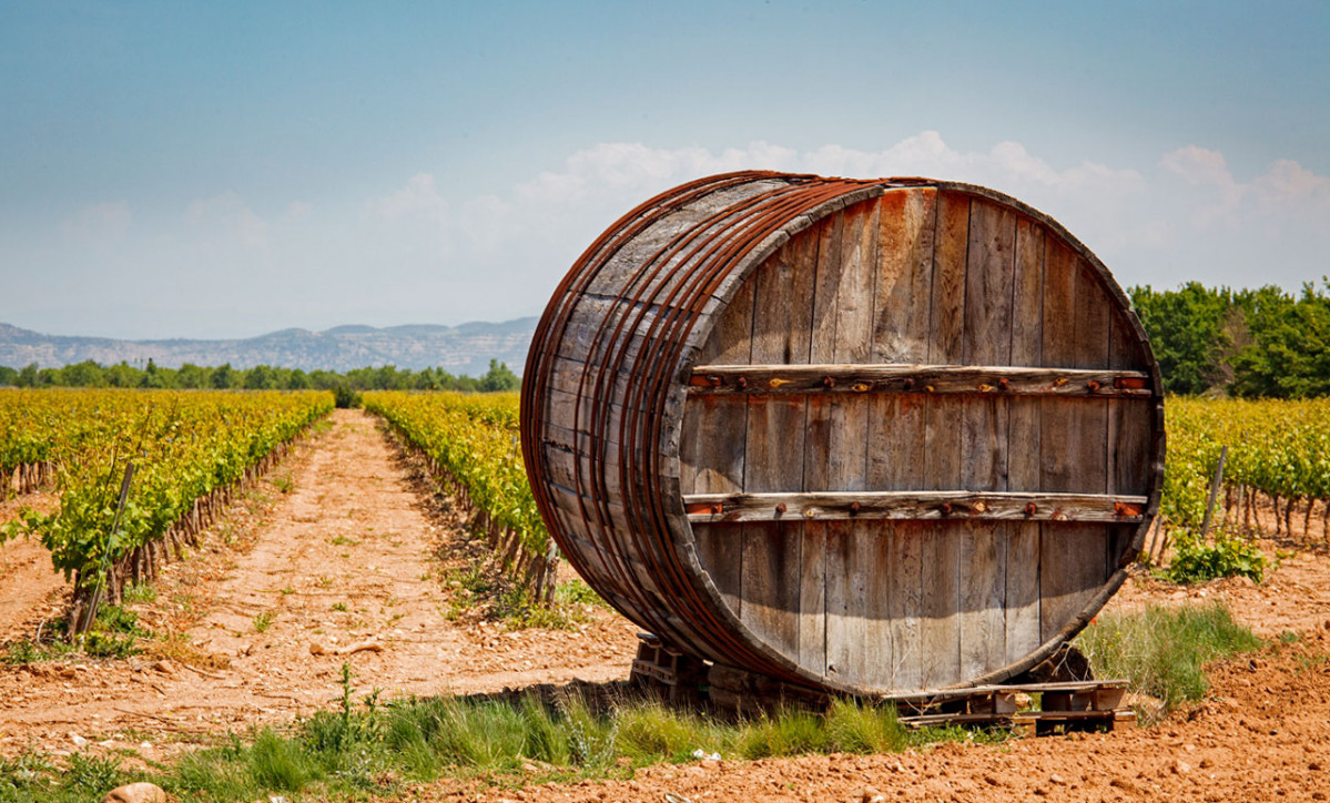Fiesta de la Vendimia en Corrella. Ruta del Vino de Navarra