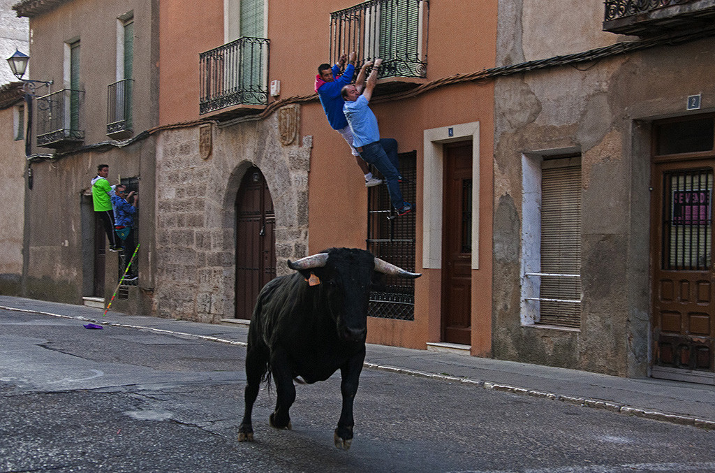 Ferias y Fiestas de San Agustin13. Suelta del Toro del cajon