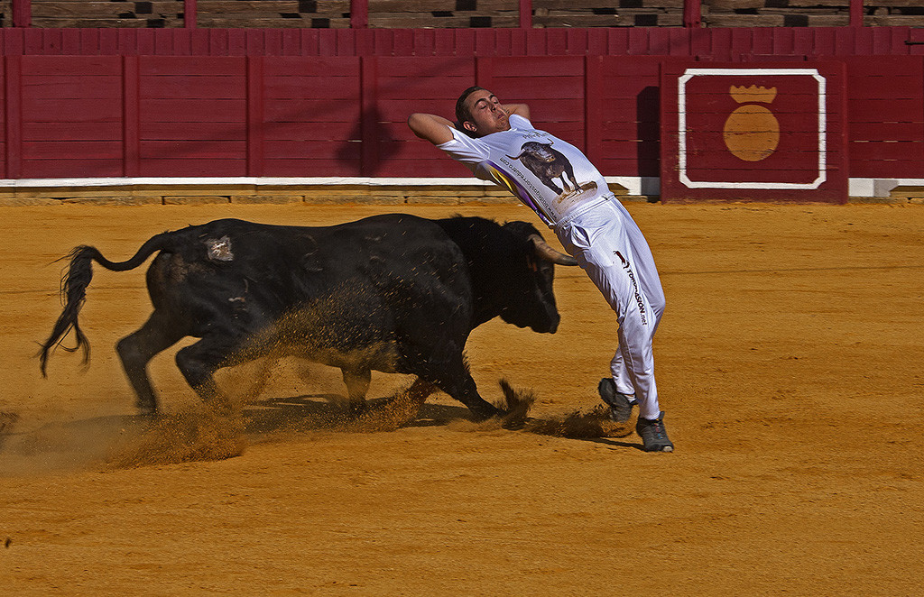 Ferias y Fiestas de San Agustin19. Concurso Nacional de Cortes