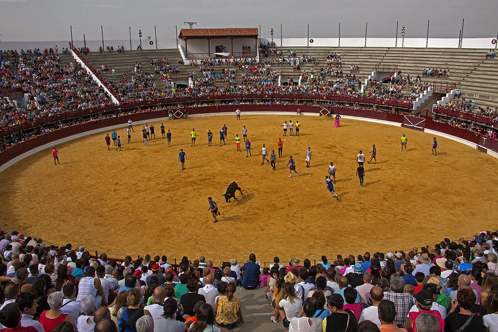 Ferias y Fiestas de San Antolin09. Toro de las Once