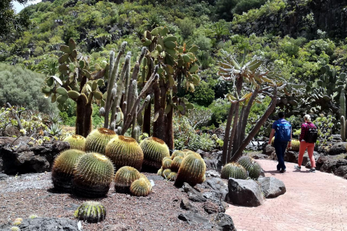 JardinBotanicoCanario LPAVISIT 15