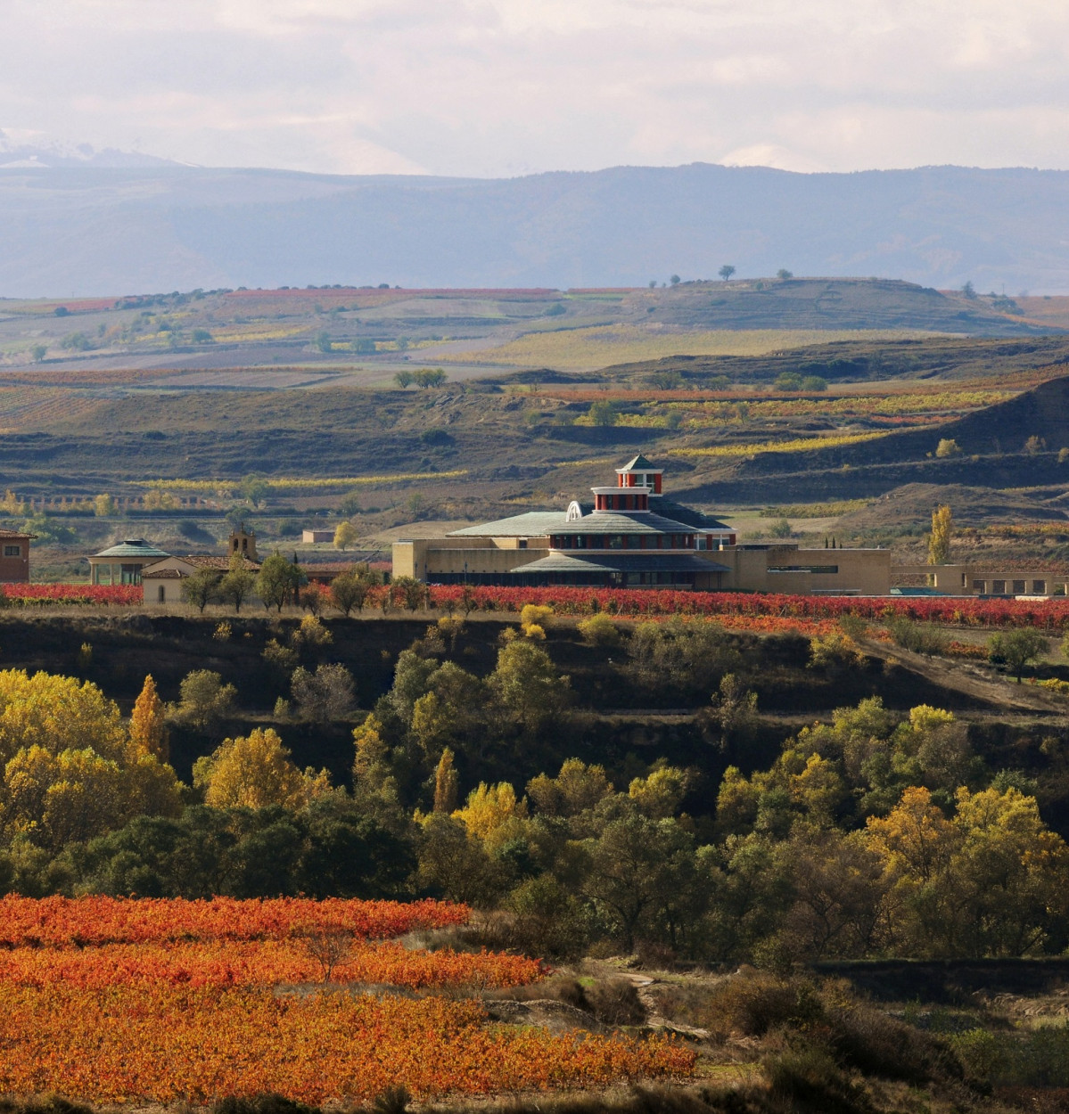 Vista del Museo Vivanco de la Cultura del Vino y Bodegas Vivanco