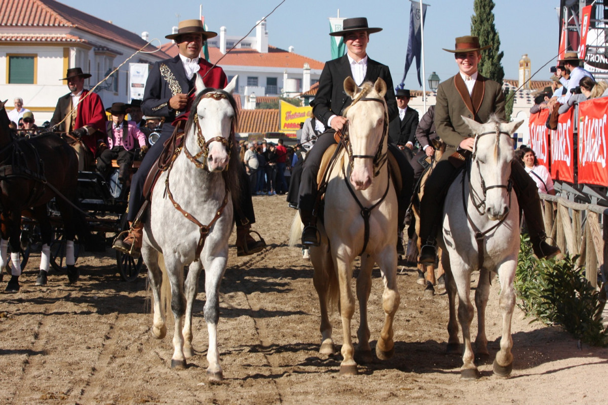 FEIRA DO CAVALO 2019