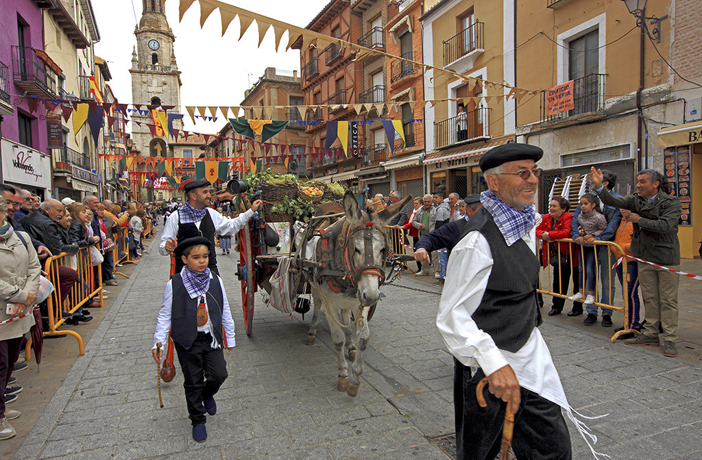 Fiesta de la Vendimia20