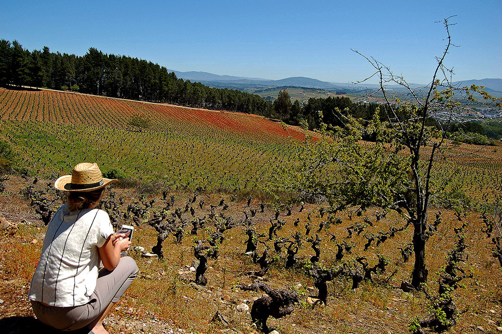 Enoturismo en El Bierzo02 Bodega Godelia