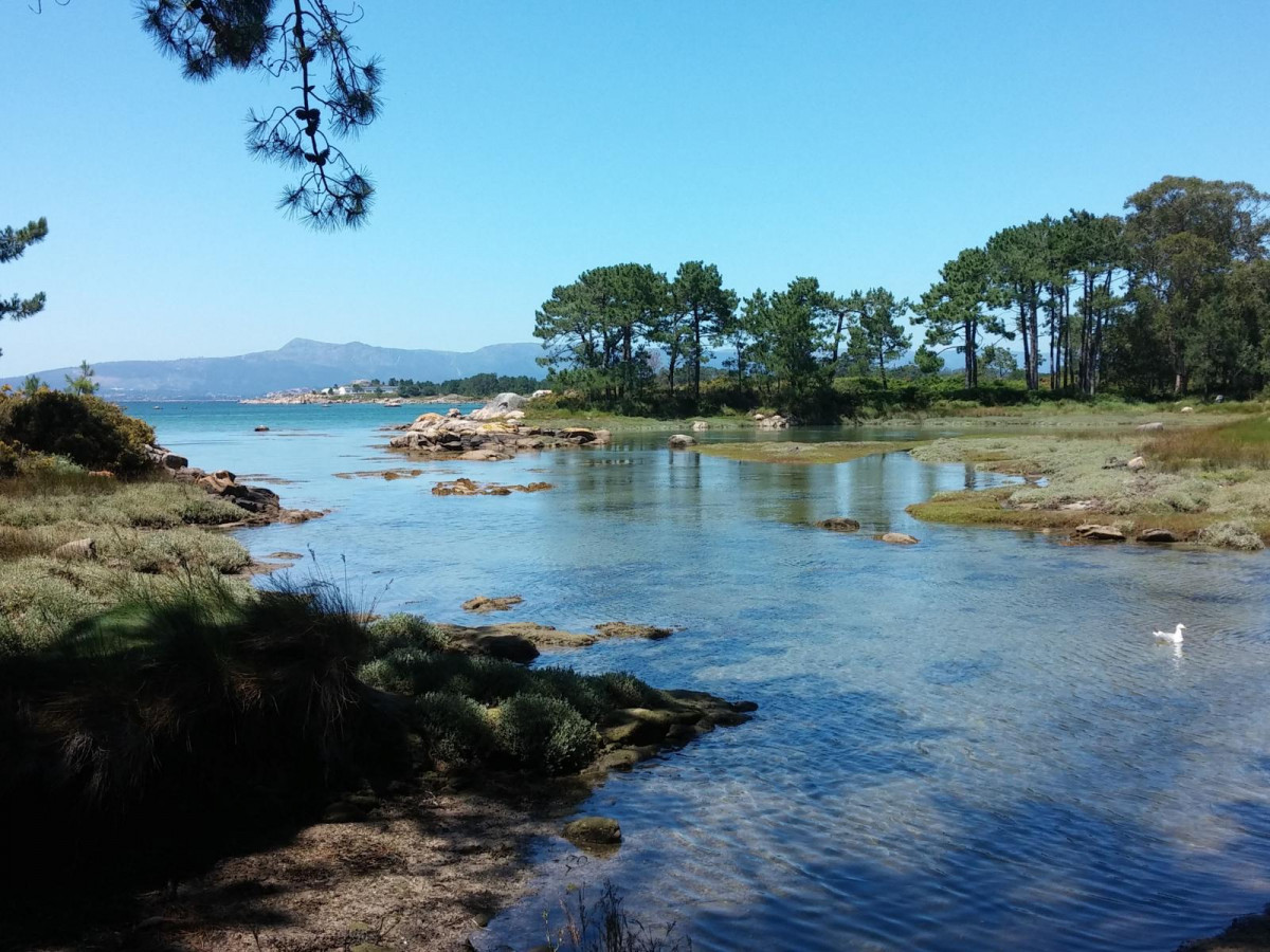 Ilha de Arousa Parque Natural de O Carreirón