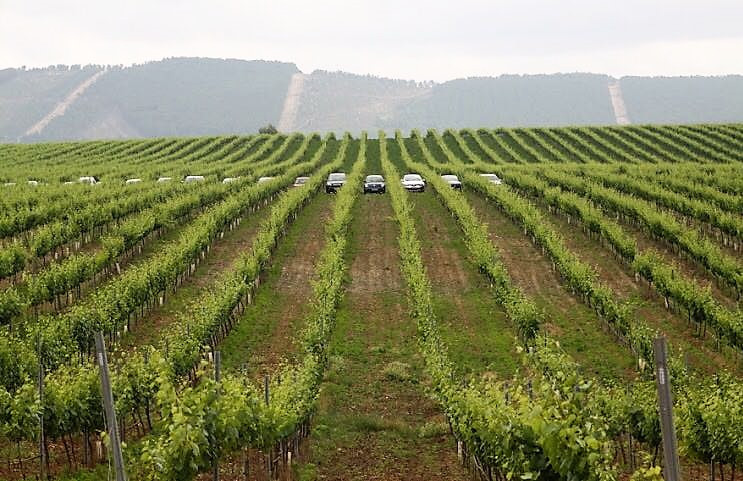 Ruta de Vinos monterrei TONIMENDEZb8b53c22fec742a0a71a1d2bf6378c82