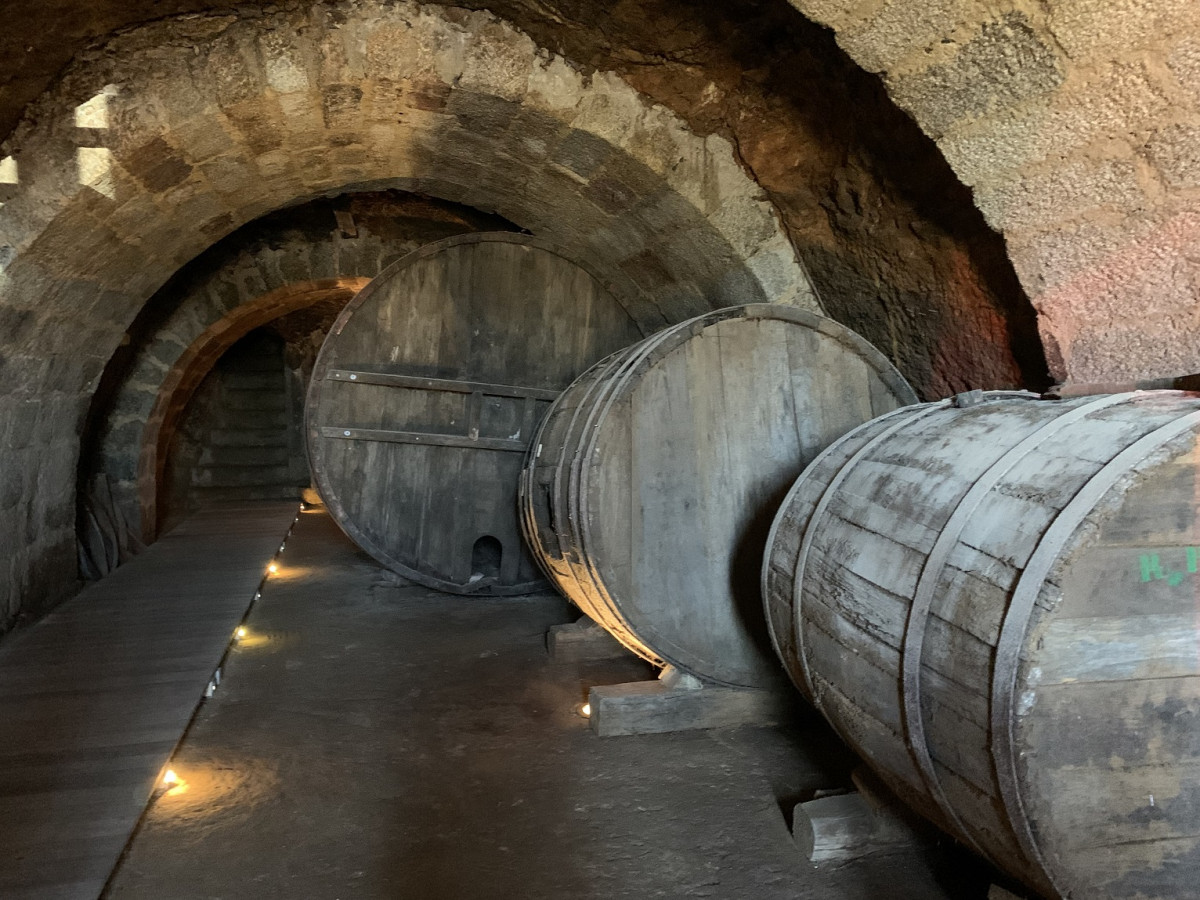 Museo del Vino Rivadavia IMG 4170 (2)