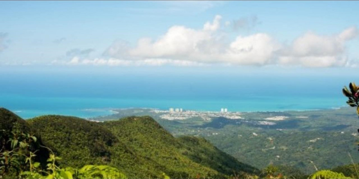 Puerto Rico, Pico El Toro, el mu00e1s alto del Yunke