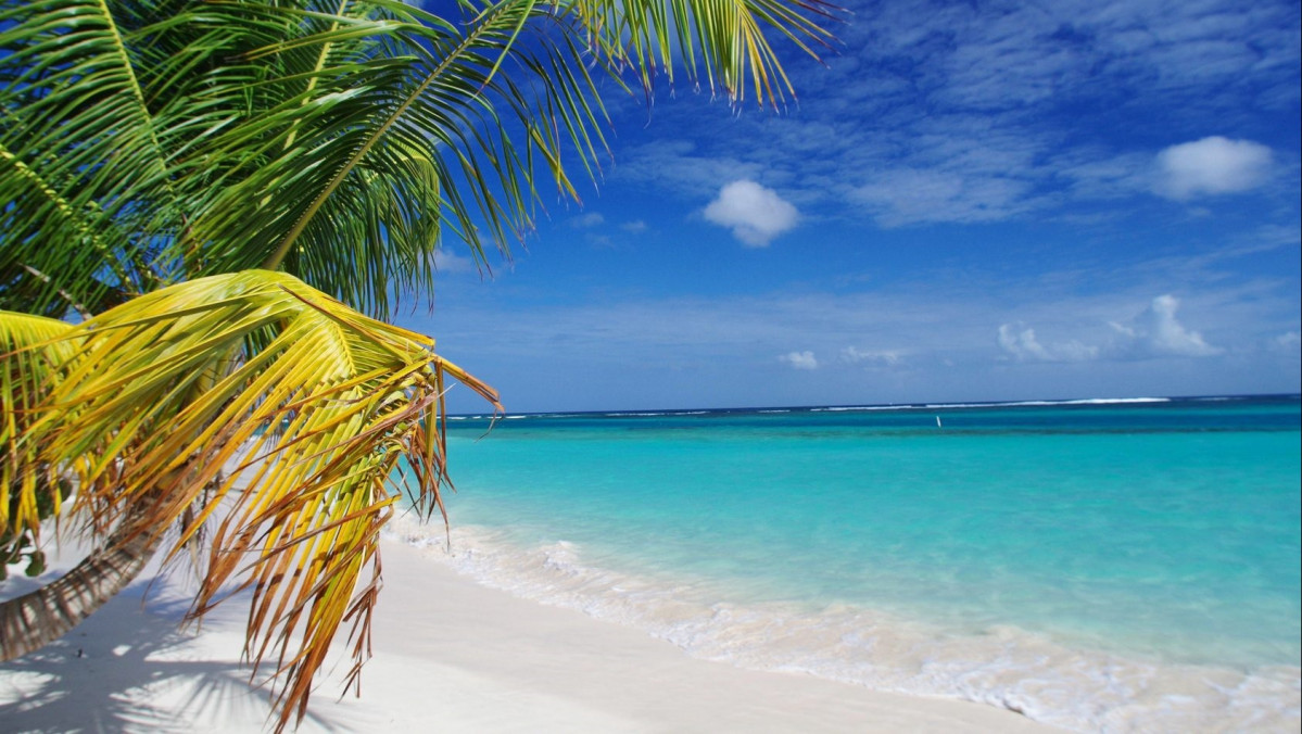 Puerto Rico flamenco beach culebra