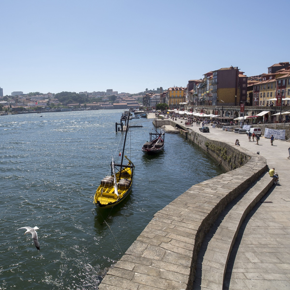 Porto ribeira gaviota