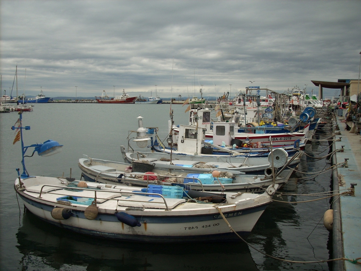 Roses Porot Pescadores