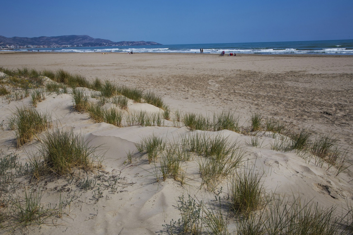 01 Castello   Playa del Pinar 1543