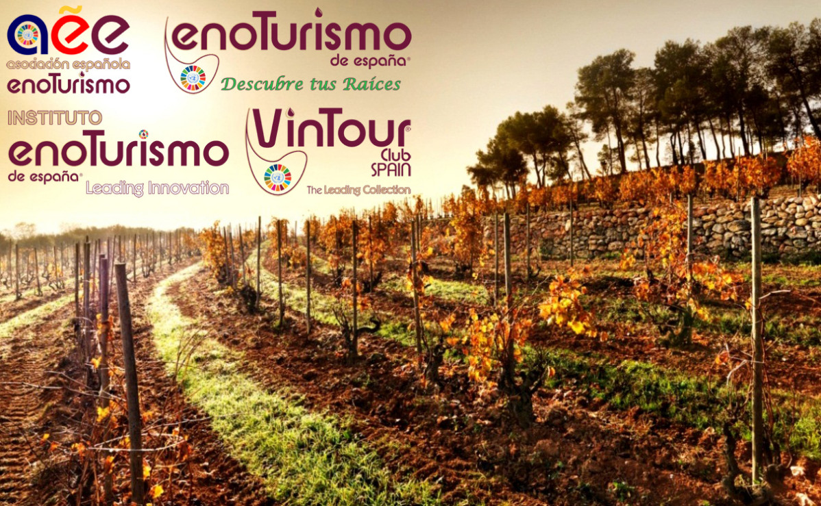 Enoturismo2019 (1)