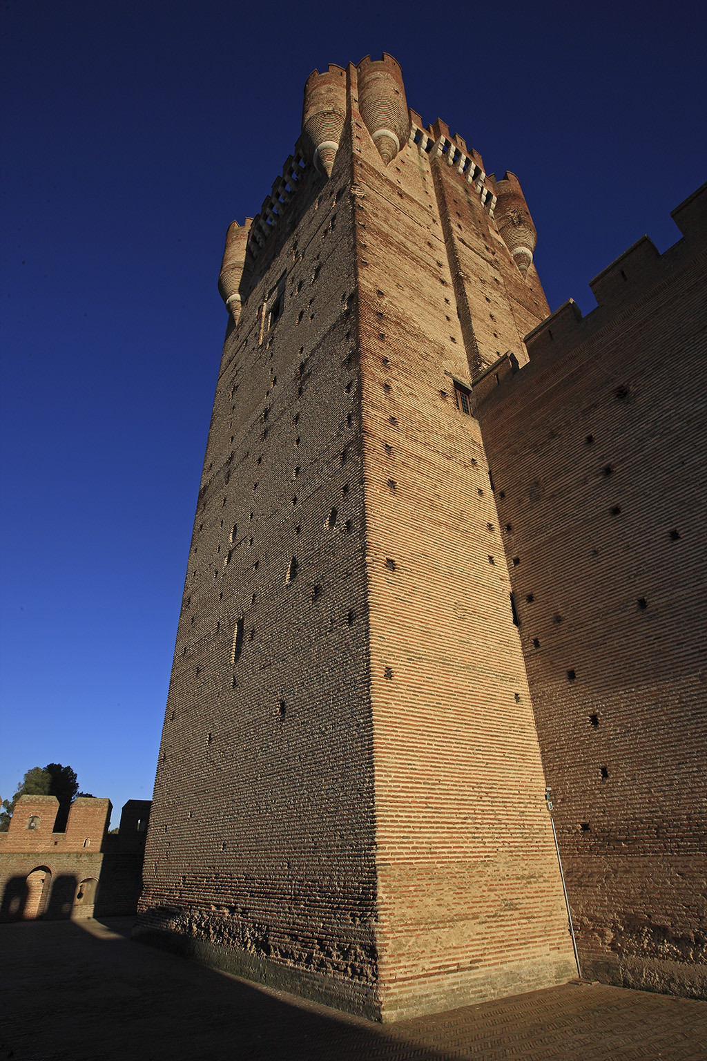 Castillo de la Mota01