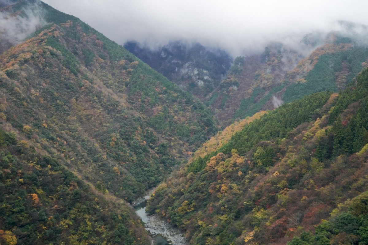 Tokushima shikoku