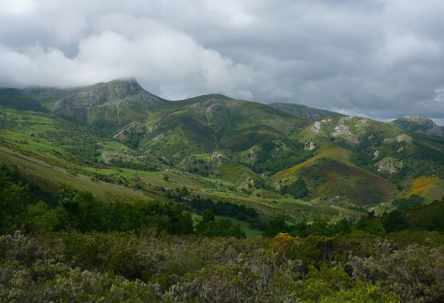 Parque Natural Montaña Palentina h