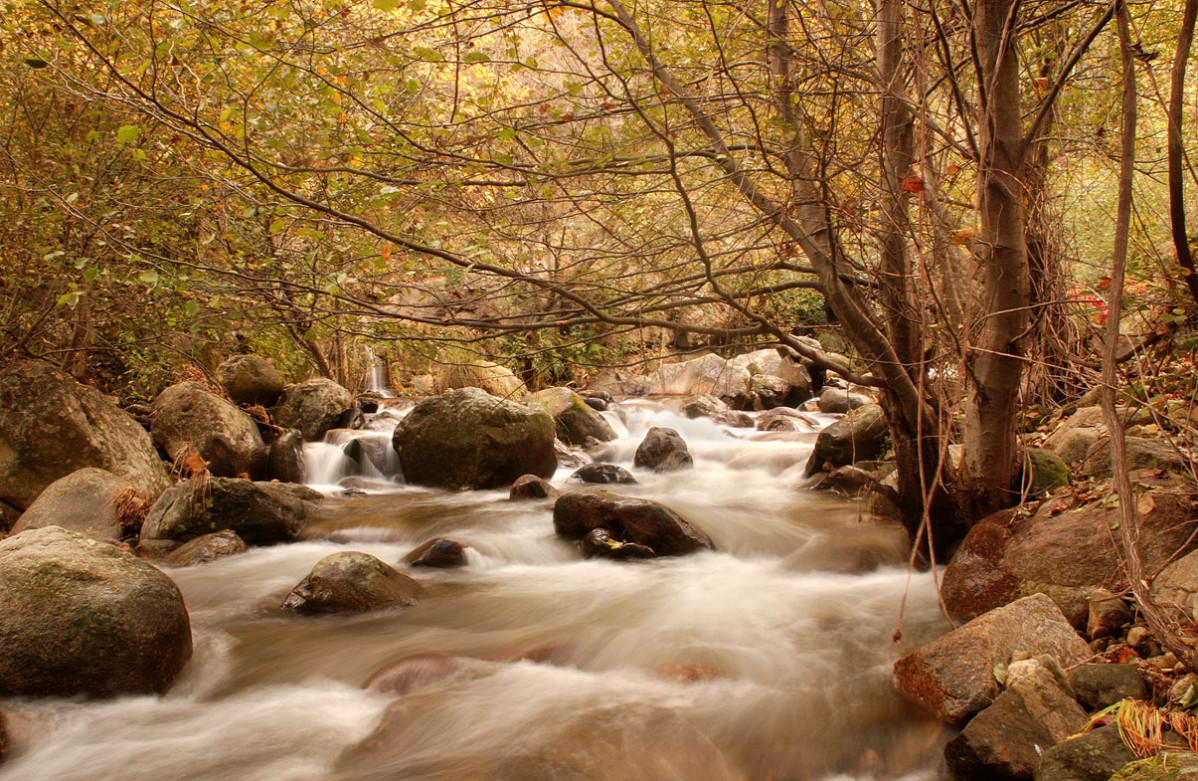 GARGANTA EN LOSAR DE LA VERA