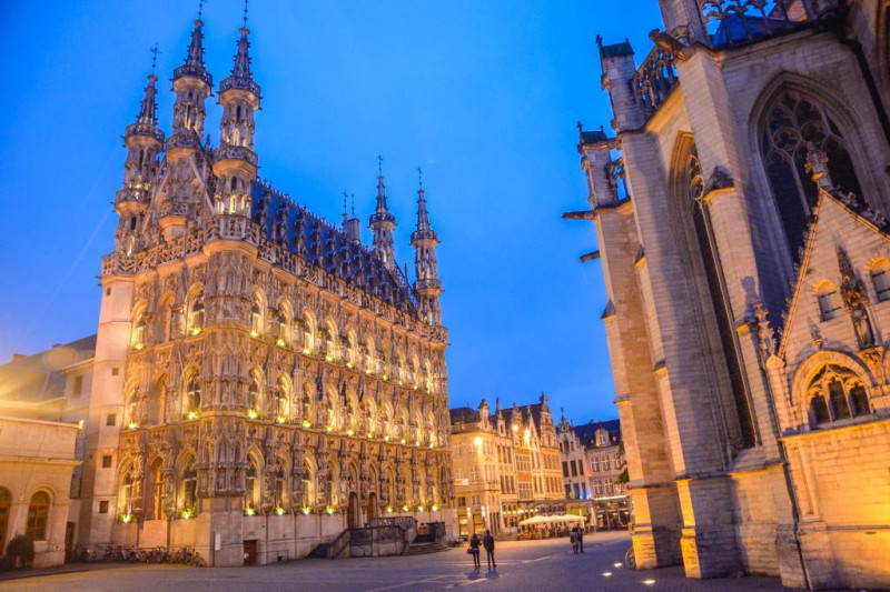 Belgica lovaina malinas
