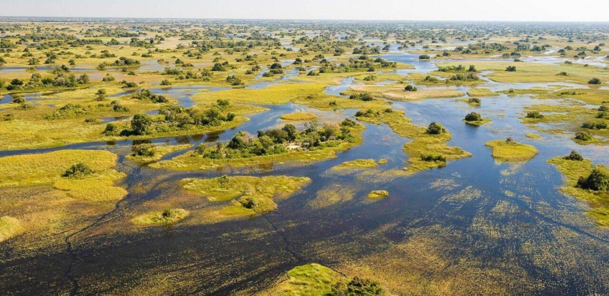 Okavango Delta Wetlands