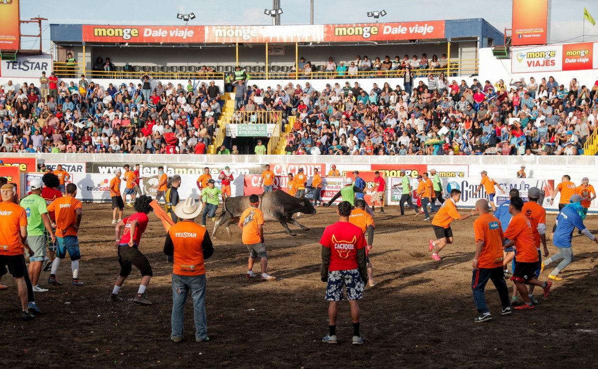 Fiestas de Zapote.2019 15