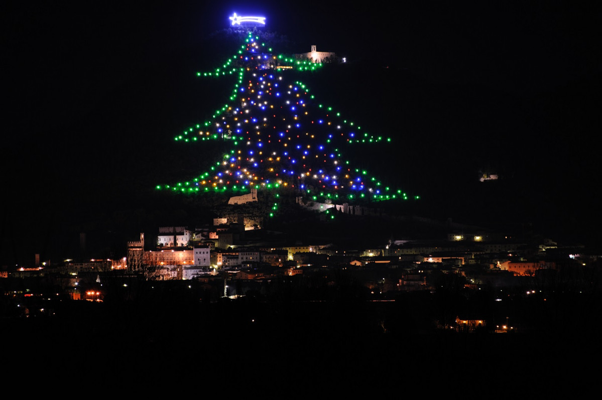 Albero gubbio2