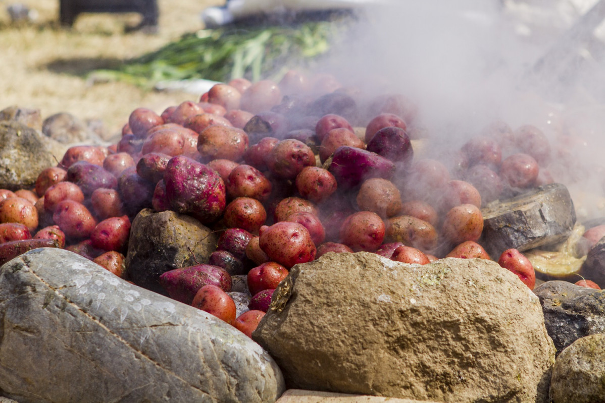 Potatoes for  pachamanca 15