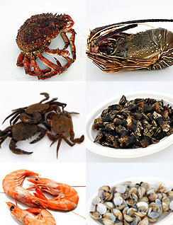 Mariscos cocidos