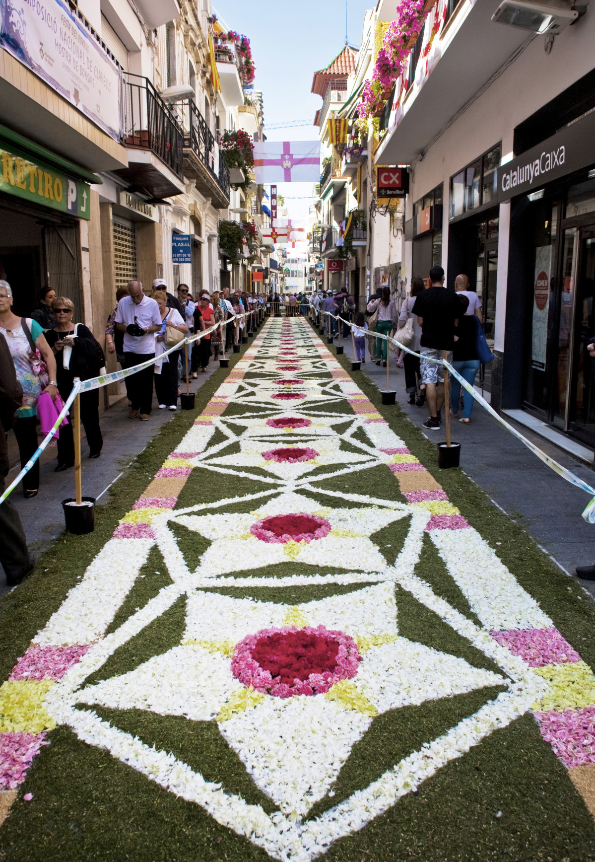 01 SITGES flores