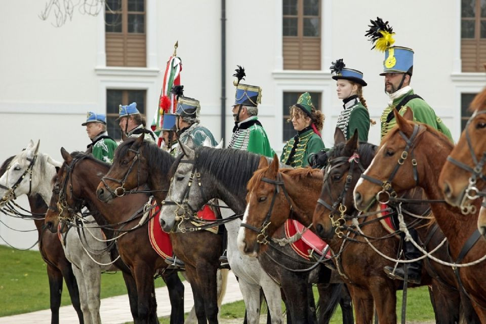 Exhibición ecuestre