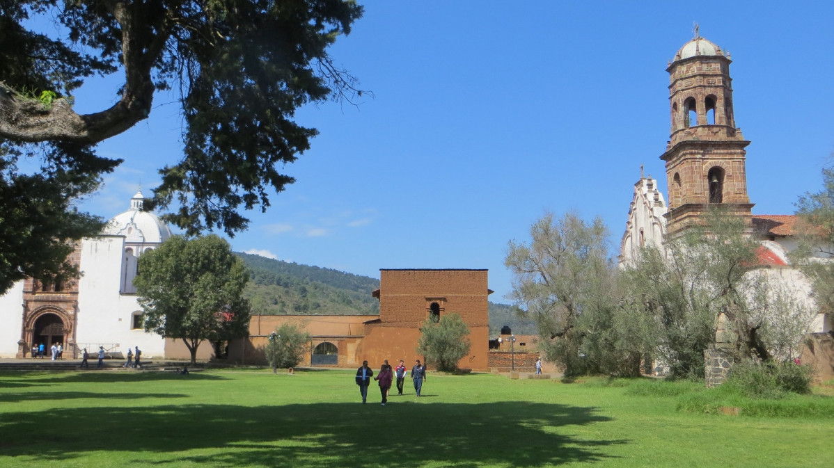 Mu00e9xico TZINTZUNZAN, LOS OLIVOS DE TZINTZUNZAN 2012