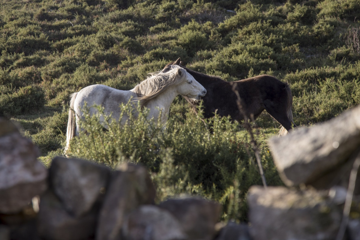 Montes de outes