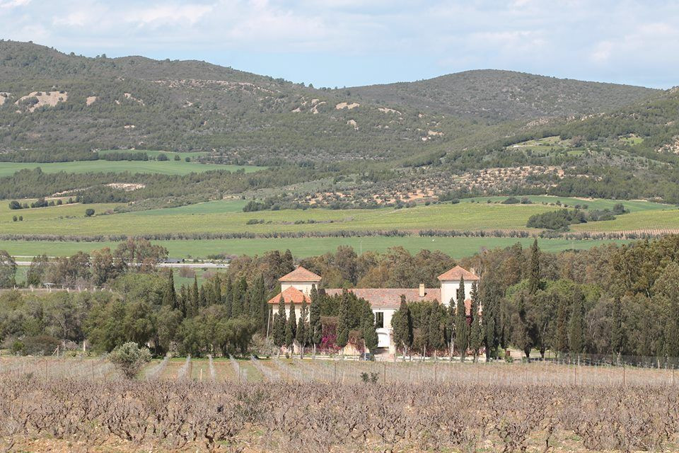 Domaine Neferis