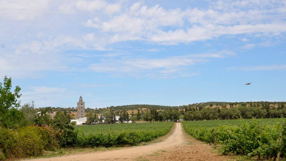 Domaine Shadrapa